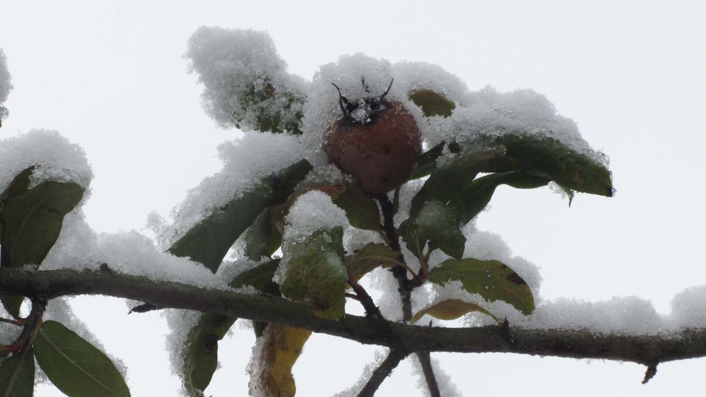 1_63_.jpg (1400×787)