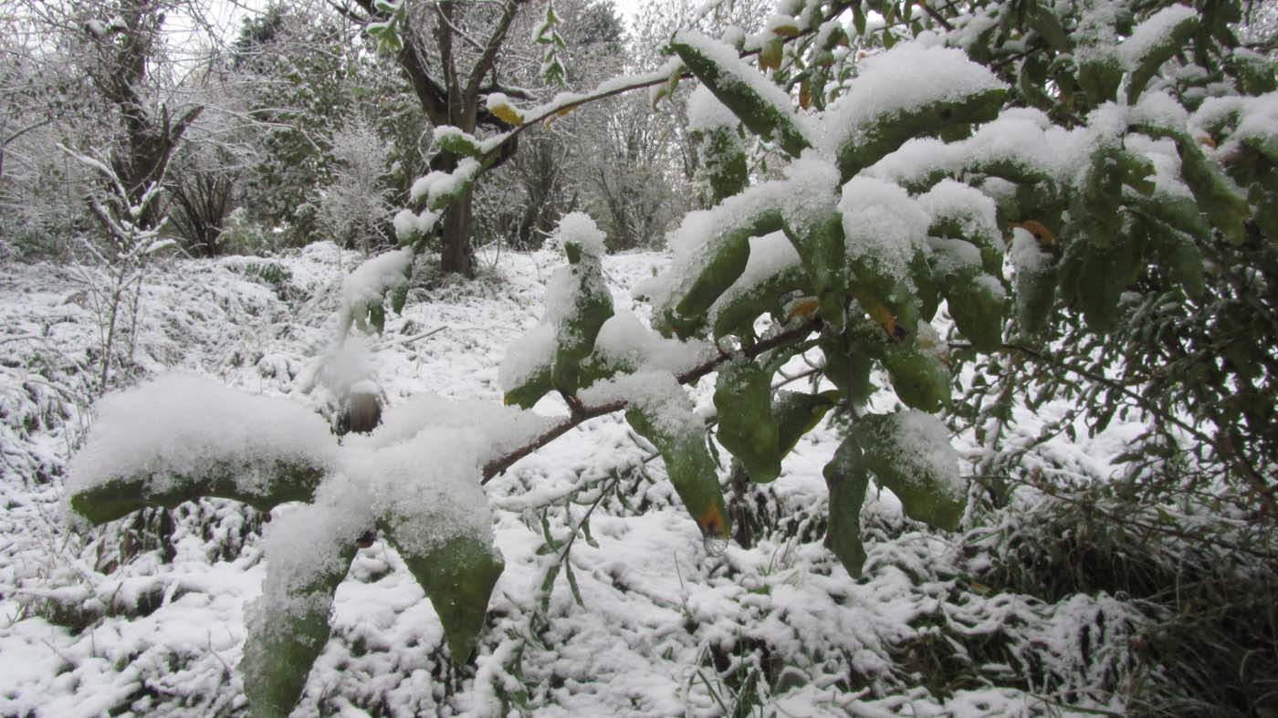 1_65_.jpg (1400×787)