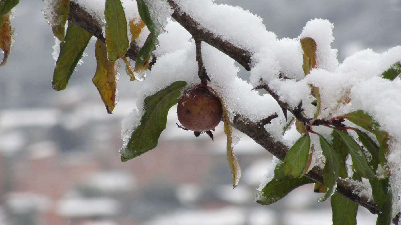 1_69_.jpg (1400×787)