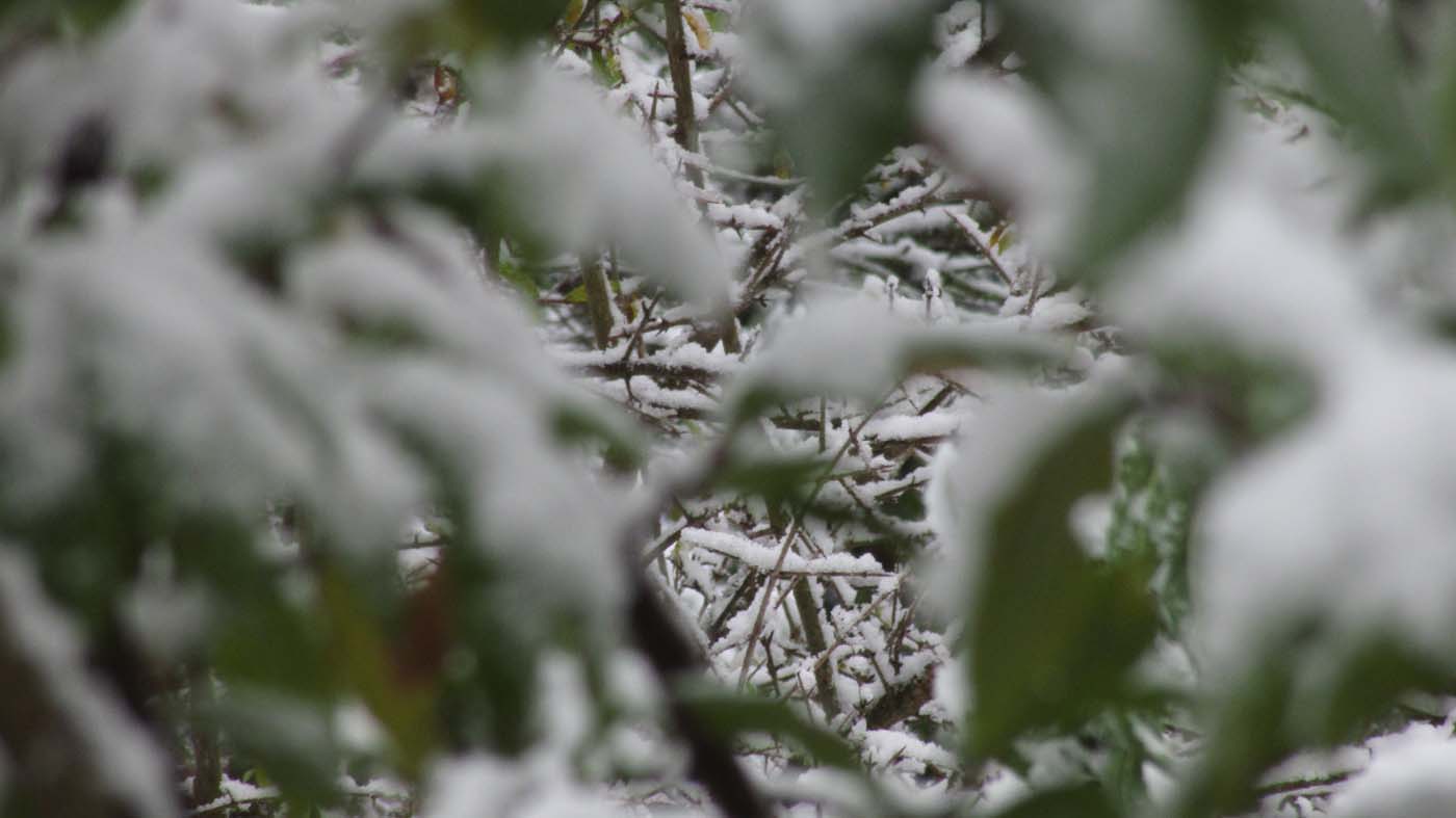 1_72_.jpg (1400×787)