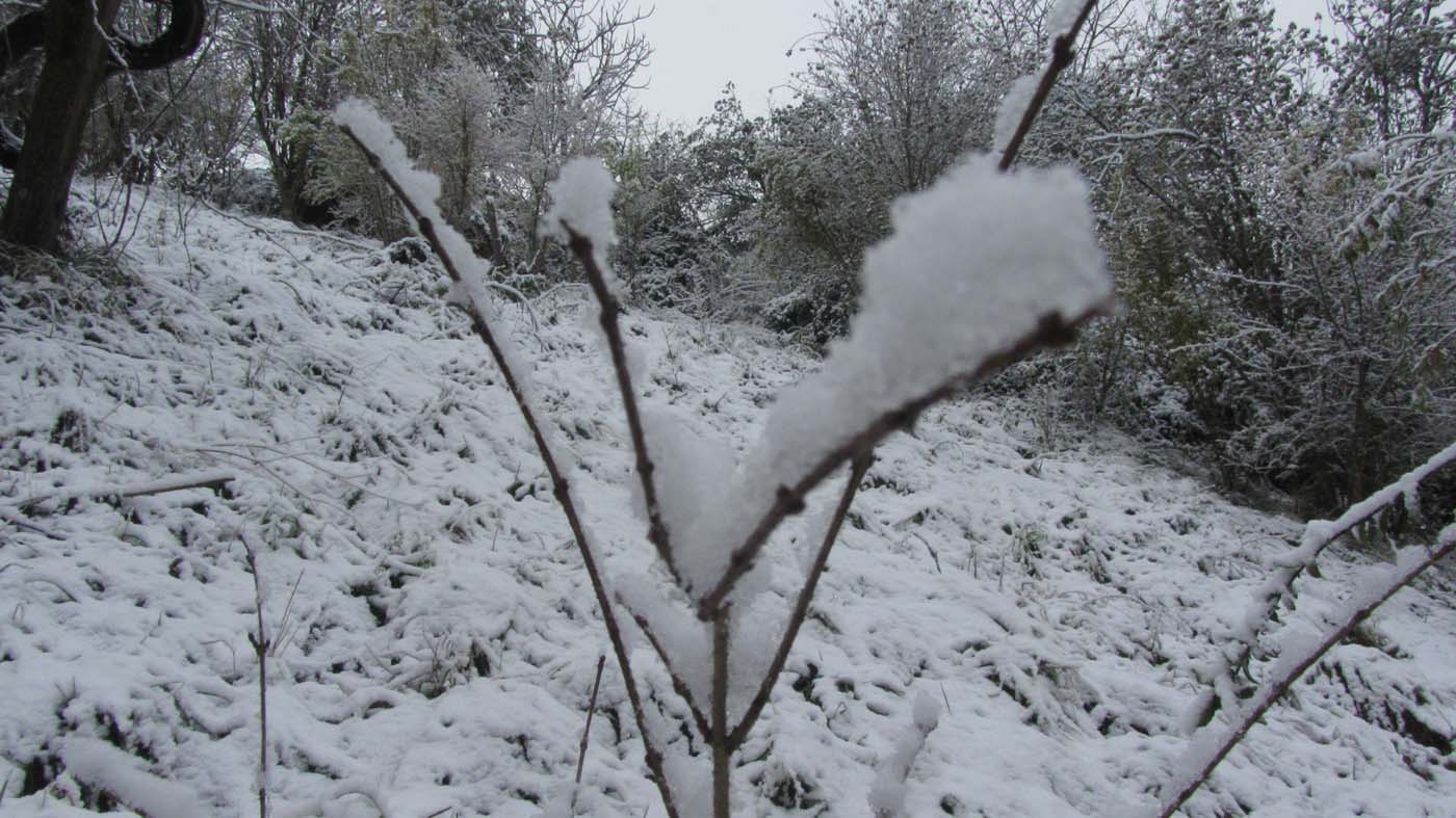 1_73_.jpg (1400×787)