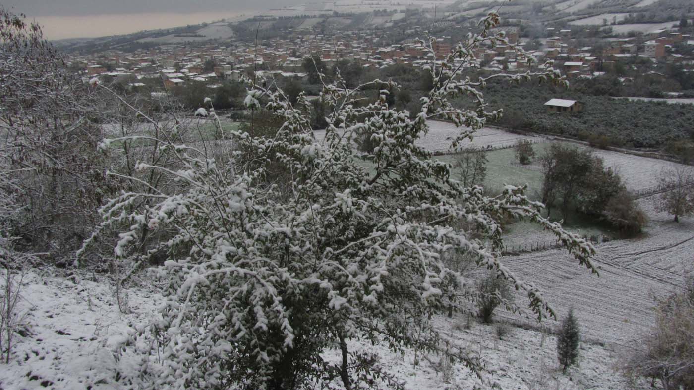 1_74_.jpg (1400×787)