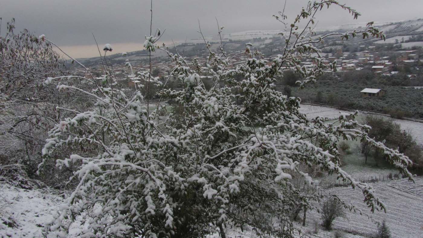 1_75_.jpg (1400×787)