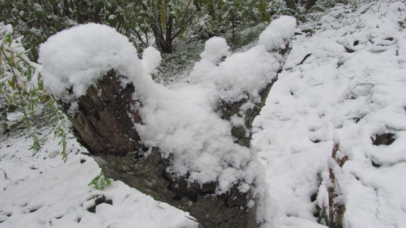 1_83_.jpg (1400×787)