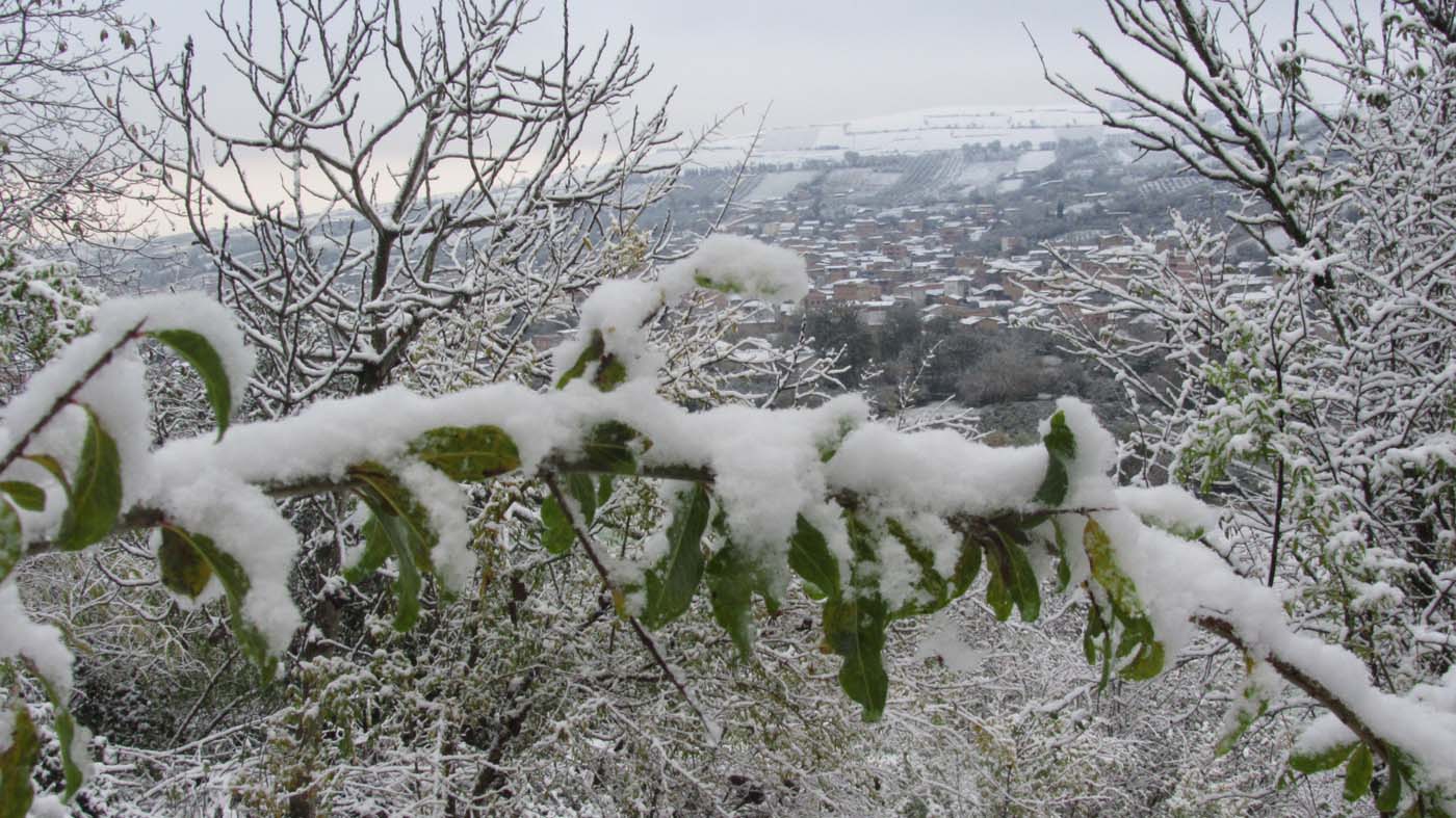 1_85_.jpg (1400×787)