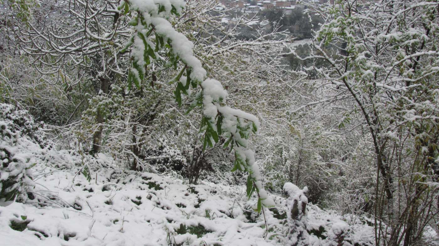 1_86_.jpg (1400×787)