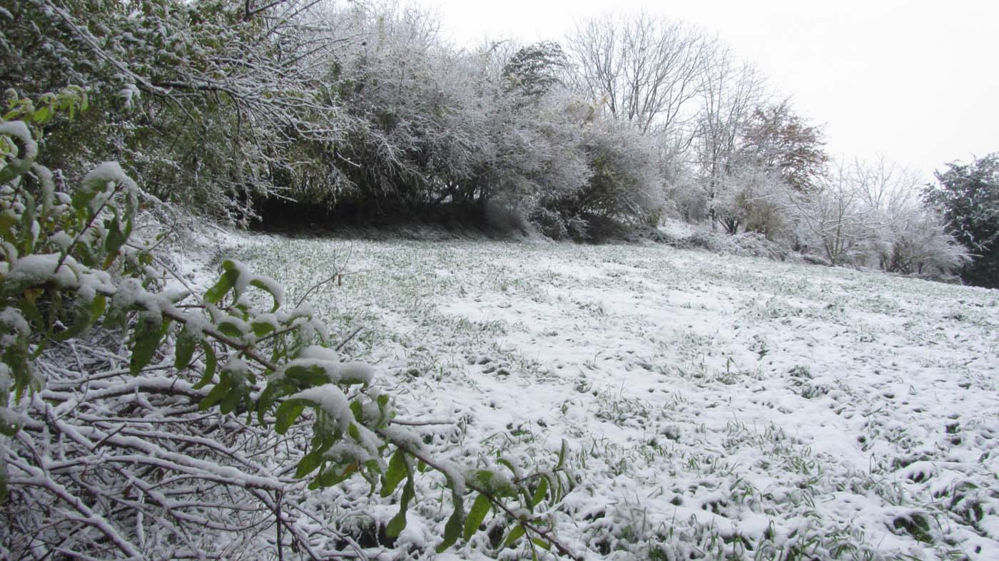 1_90_.jpg (1400×787)