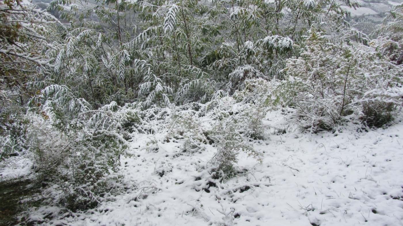 1_92_.jpg (1400×787)