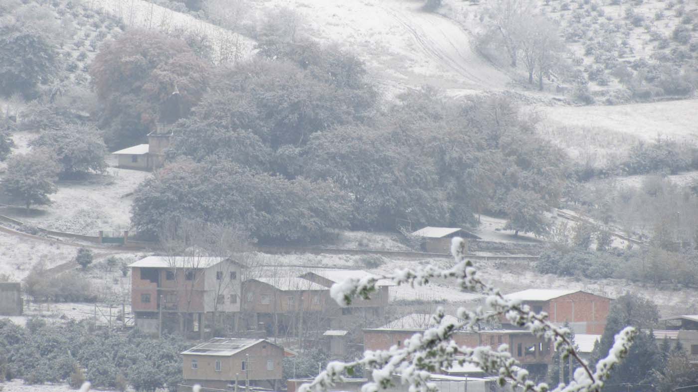 1_93_.jpg (1400×787)