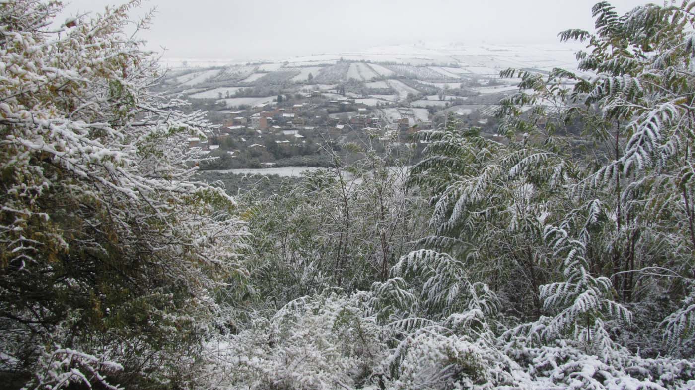 1_95_.jpg (1400×787)