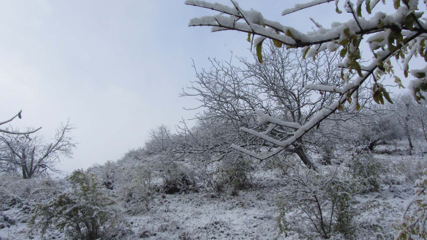 1_96_.jpg (1400×787)