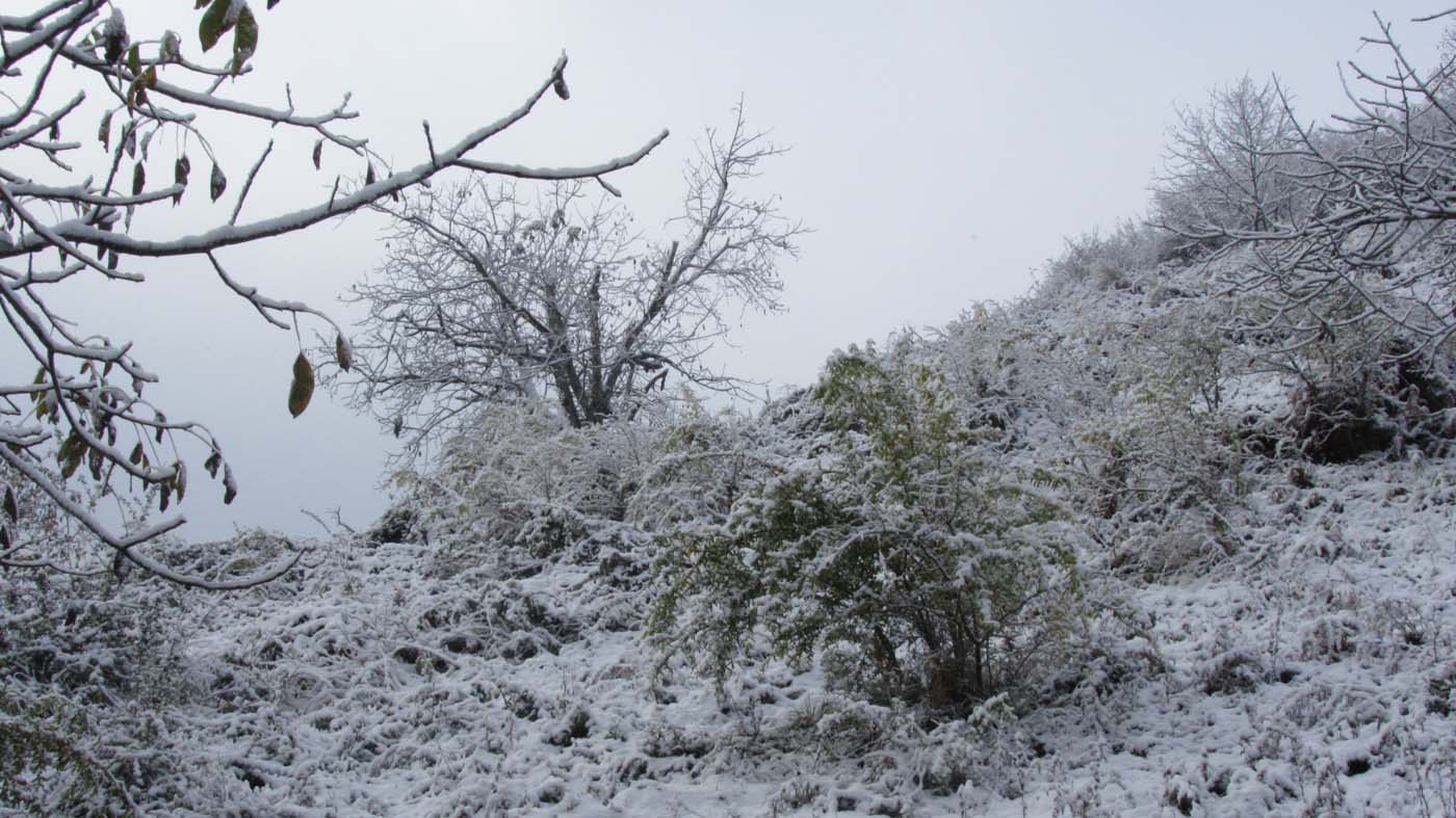 1_97_.jpg (1400×787)