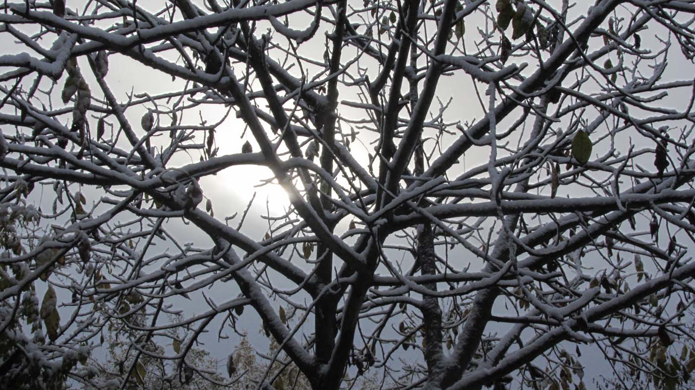 1_98_.jpg (1400×787)