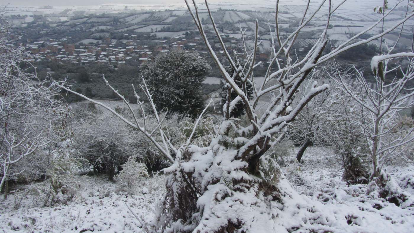 1_102_.jpg (1400×787)