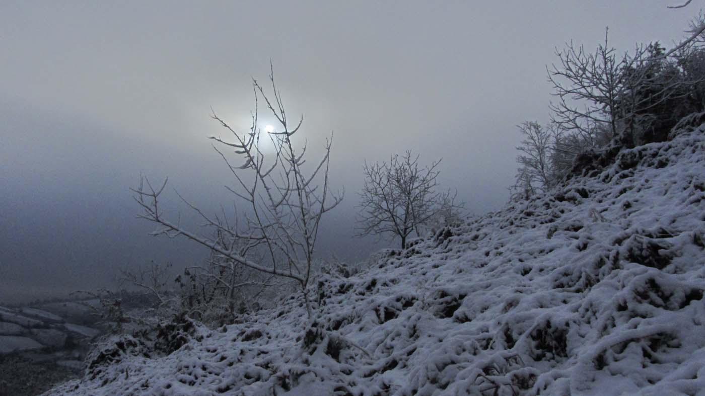 1_106_.jpg (1400×787)