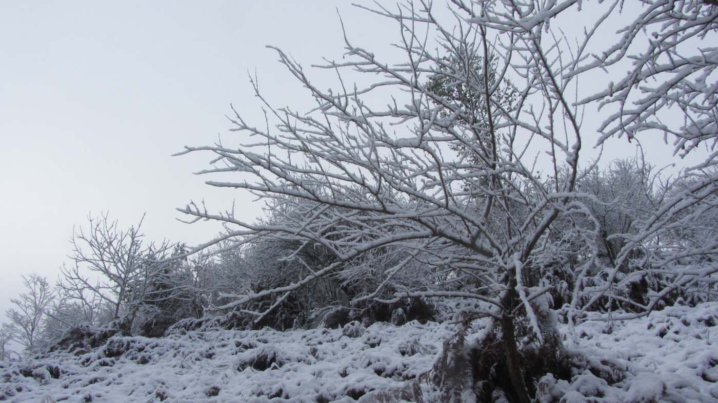 1_107_.jpg (1400×787)