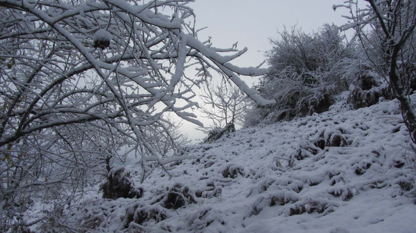 1_113_.jpg (1400×787)