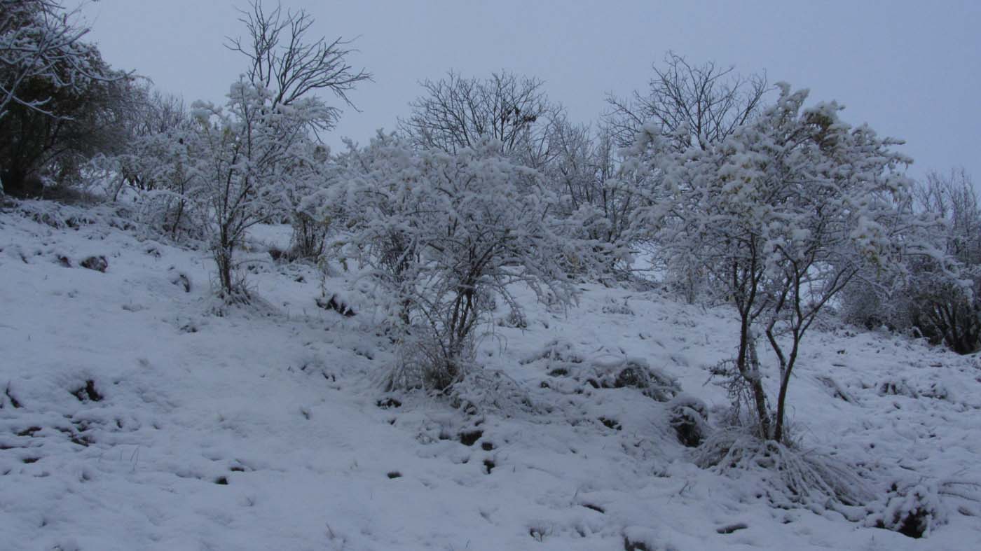 1_115_.jpg (1400×787)