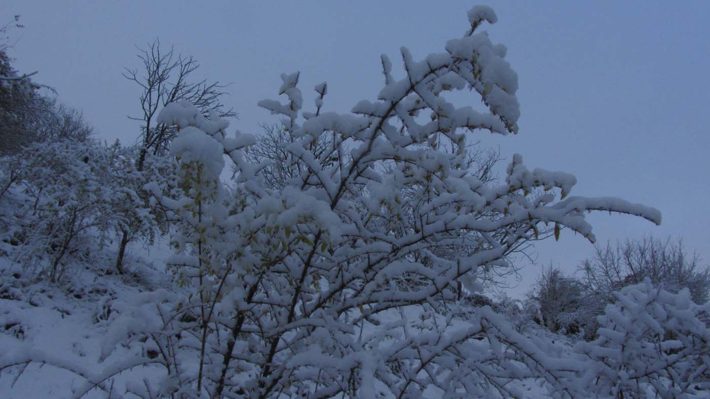 1_121_.jpg (1400×787)