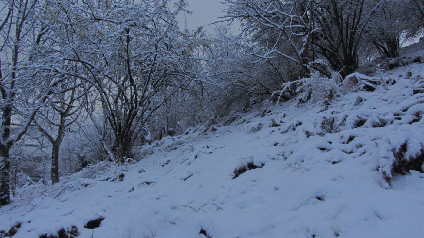 1_124_.jpg (1400×787)