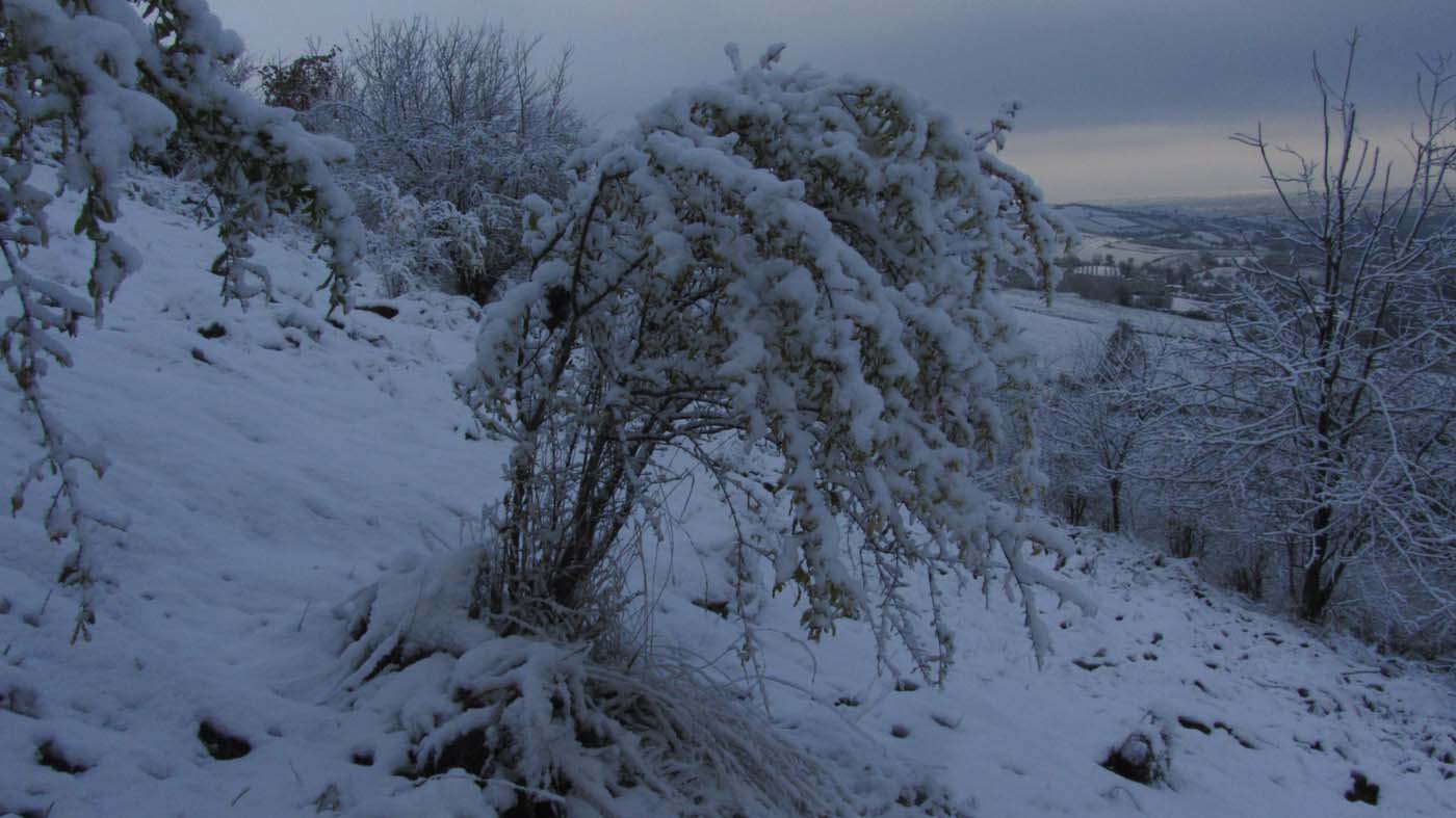 1_125_.jpg (1400×787)