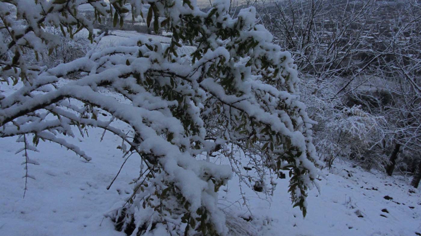 1_127_.jpg (1400×787)