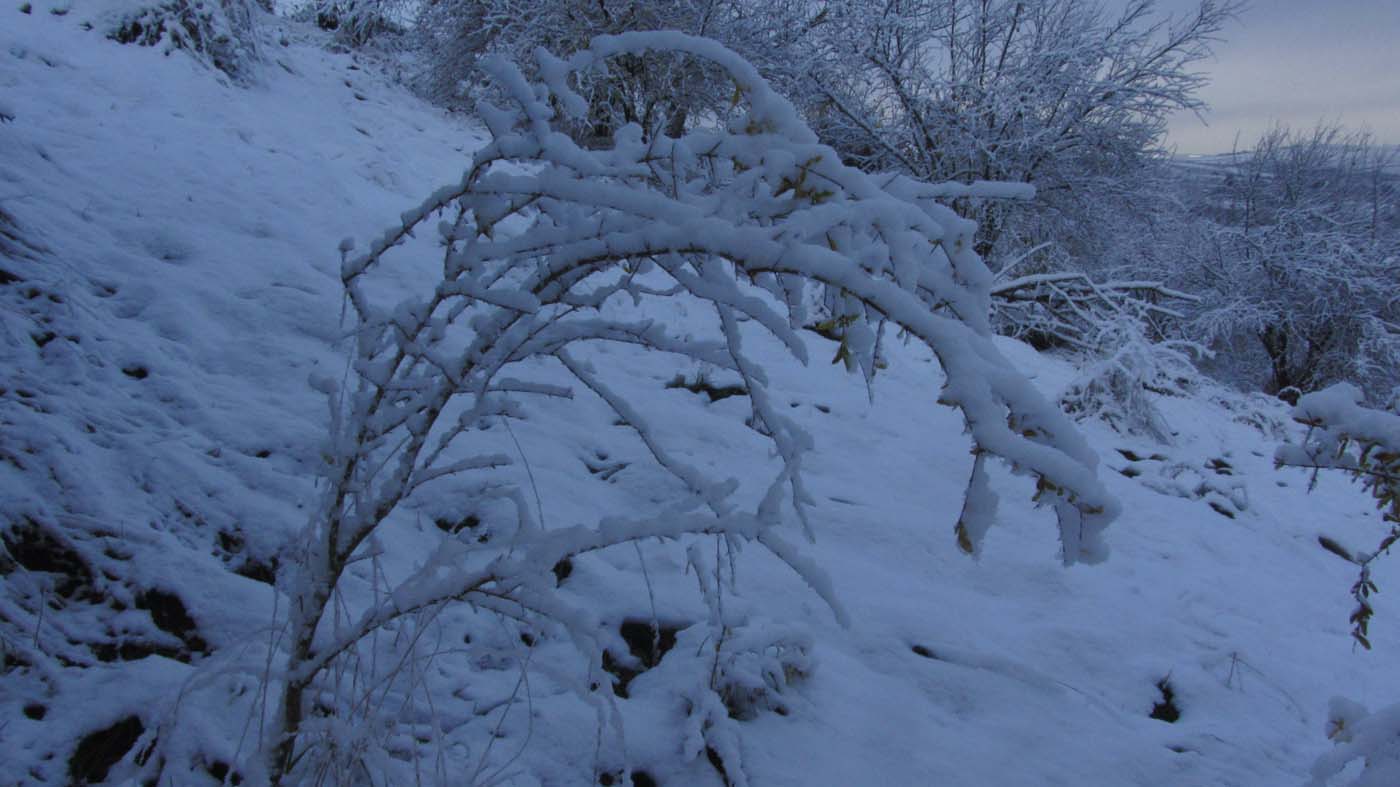 1_129_.jpg (1400×787)