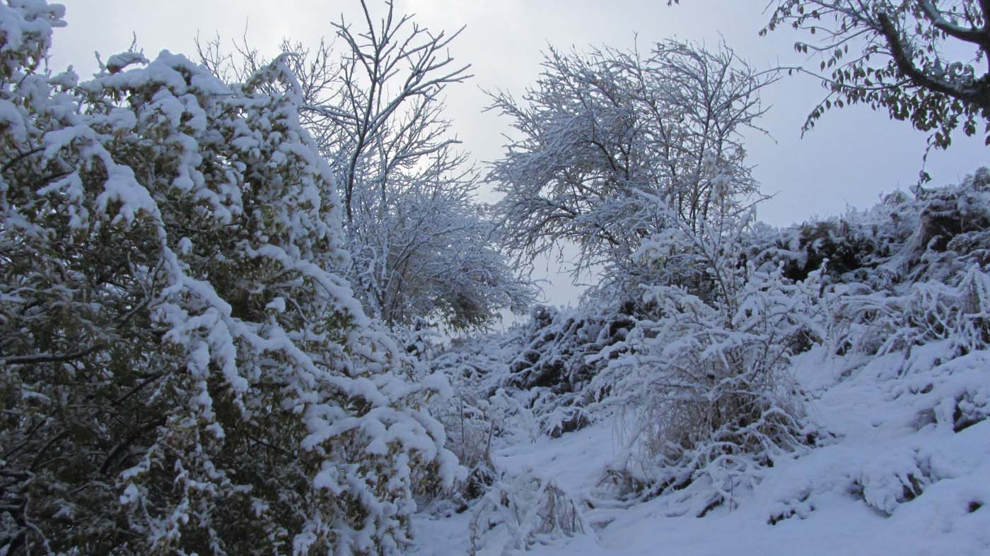 1_131_.jpg (1400×787)