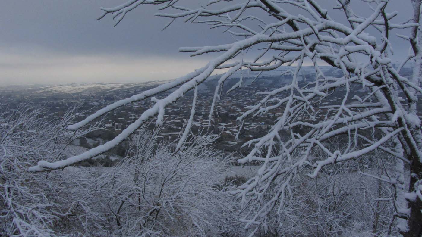 1_133_.jpg (1400×787)