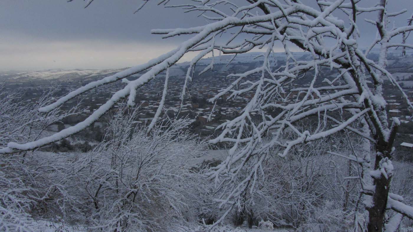 1_134_.jpg (1400×787)