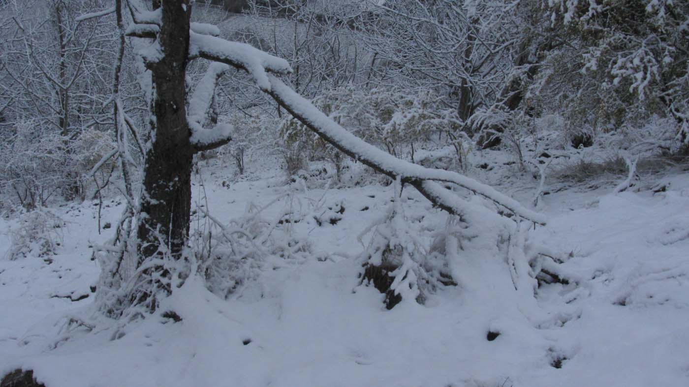 1_137_.jpg (1400×787)