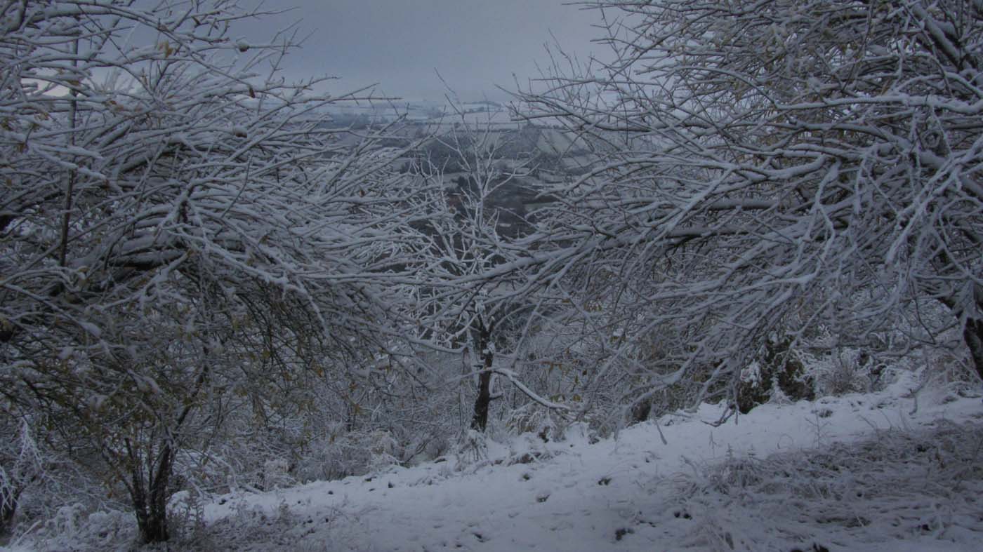 1_138_.jpg (1400×787)