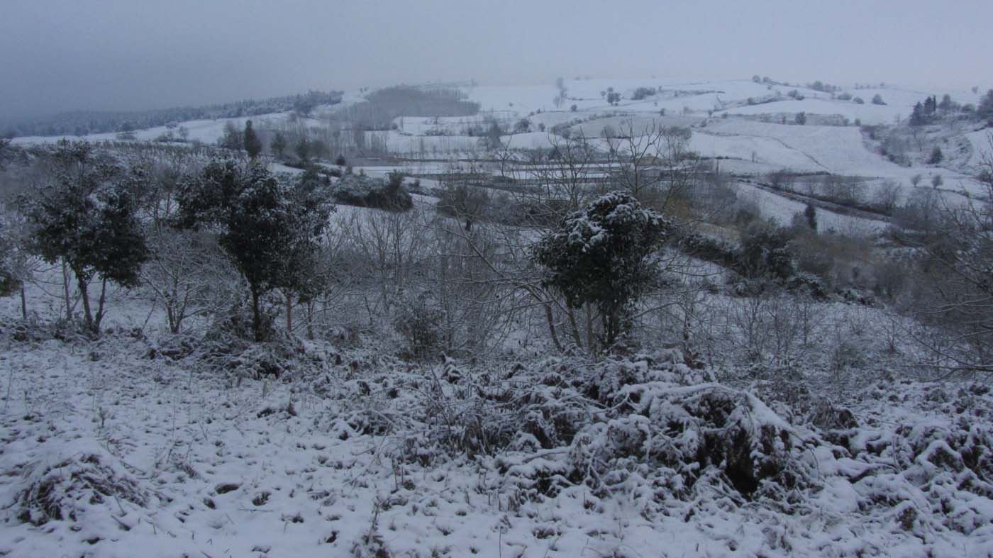 1_140_.jpg (1400×787)