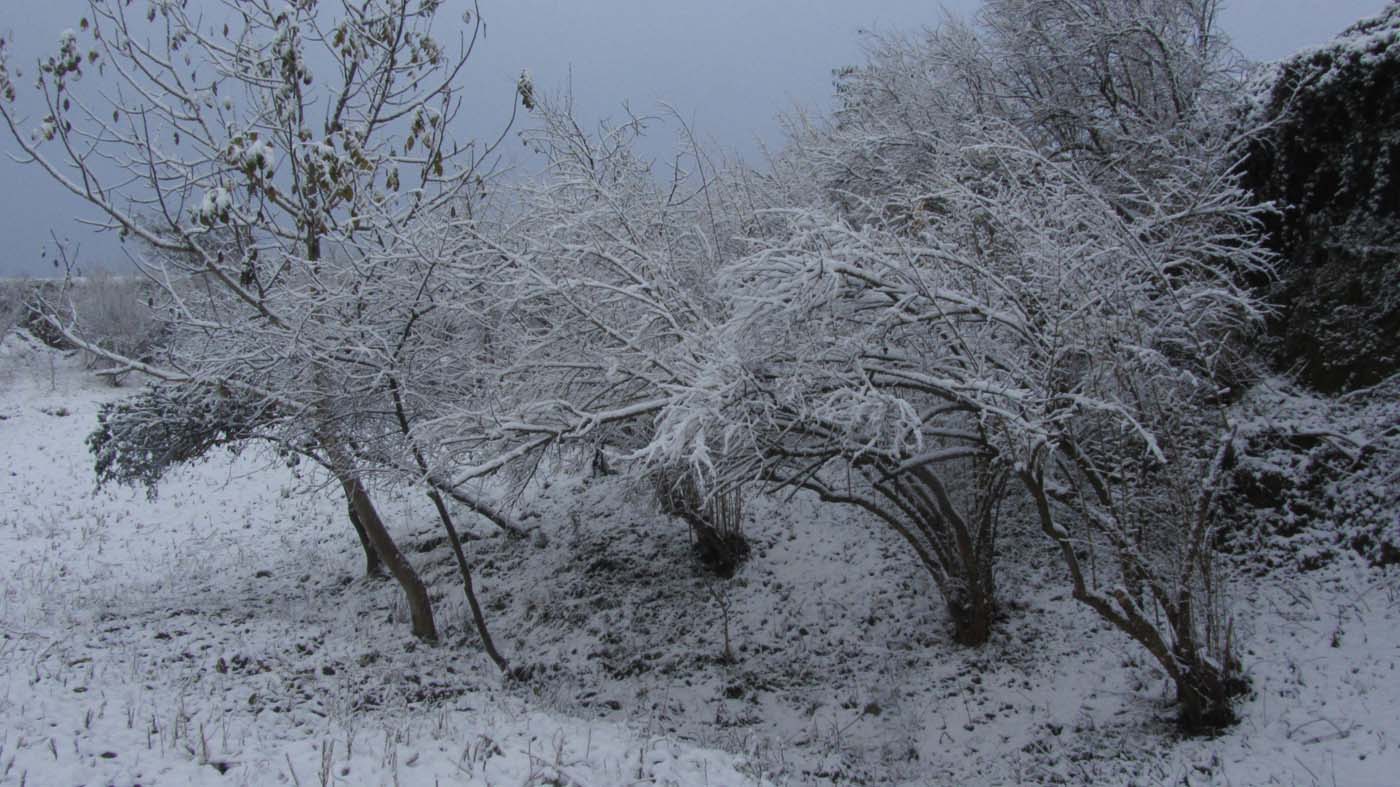 1_142_.jpg (1400×787)