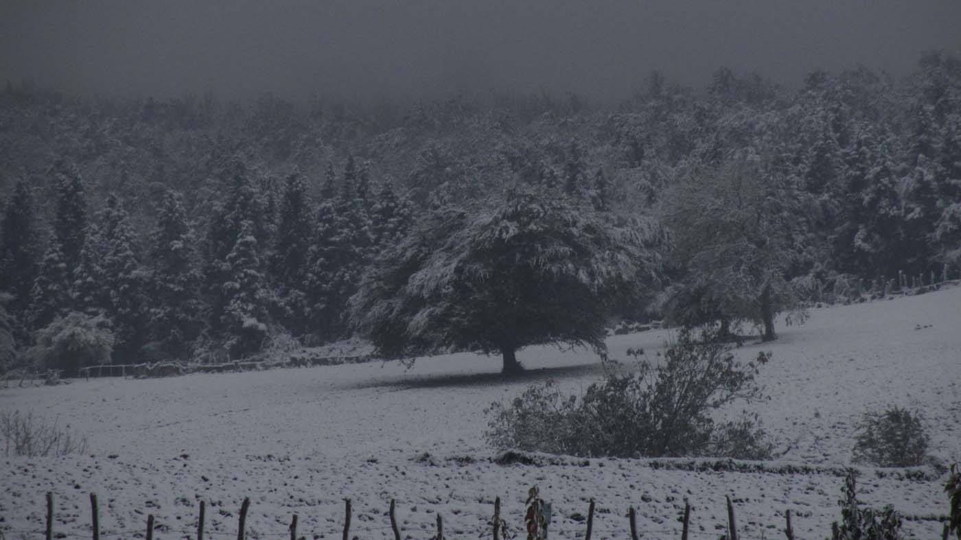 1_148_.jpg (1400×787)