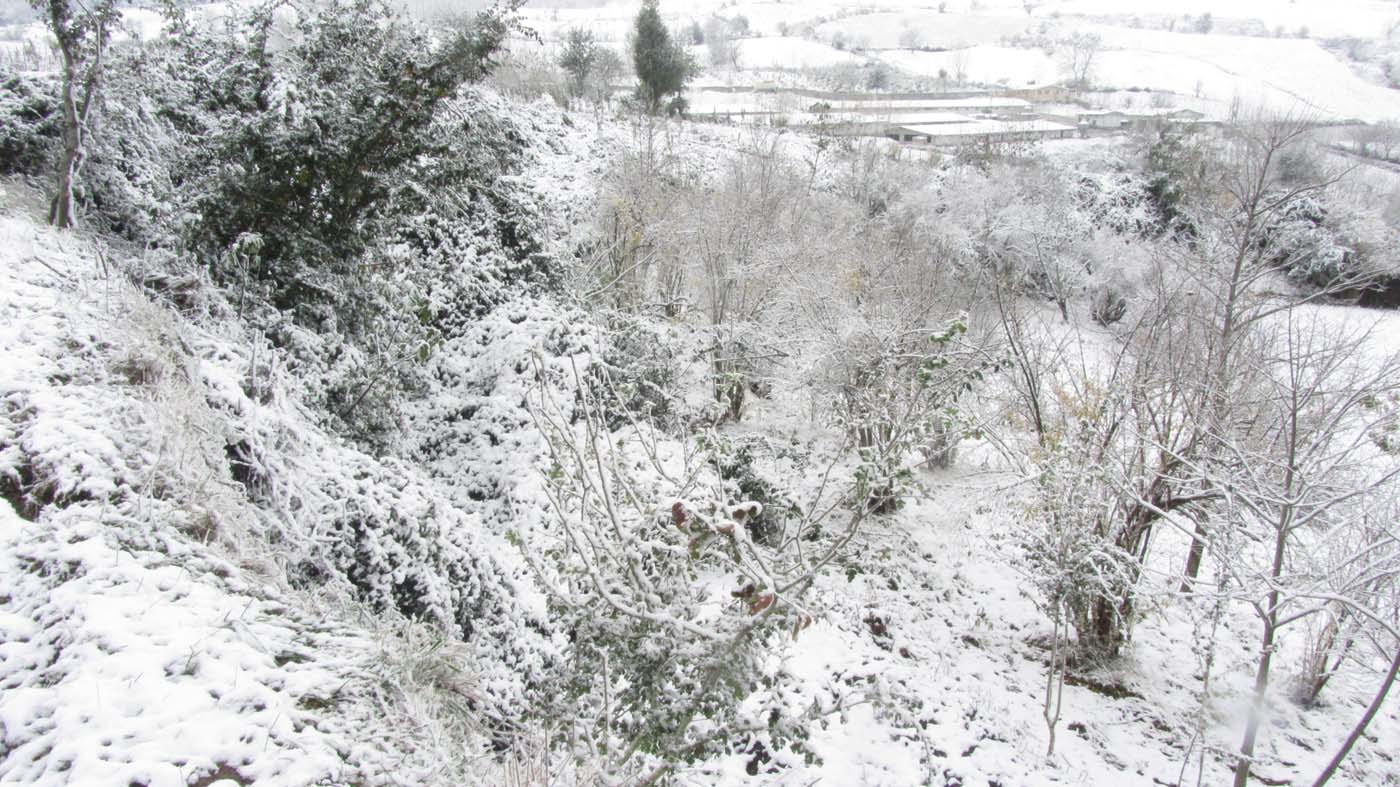 1_151_.jpg (1400×787)