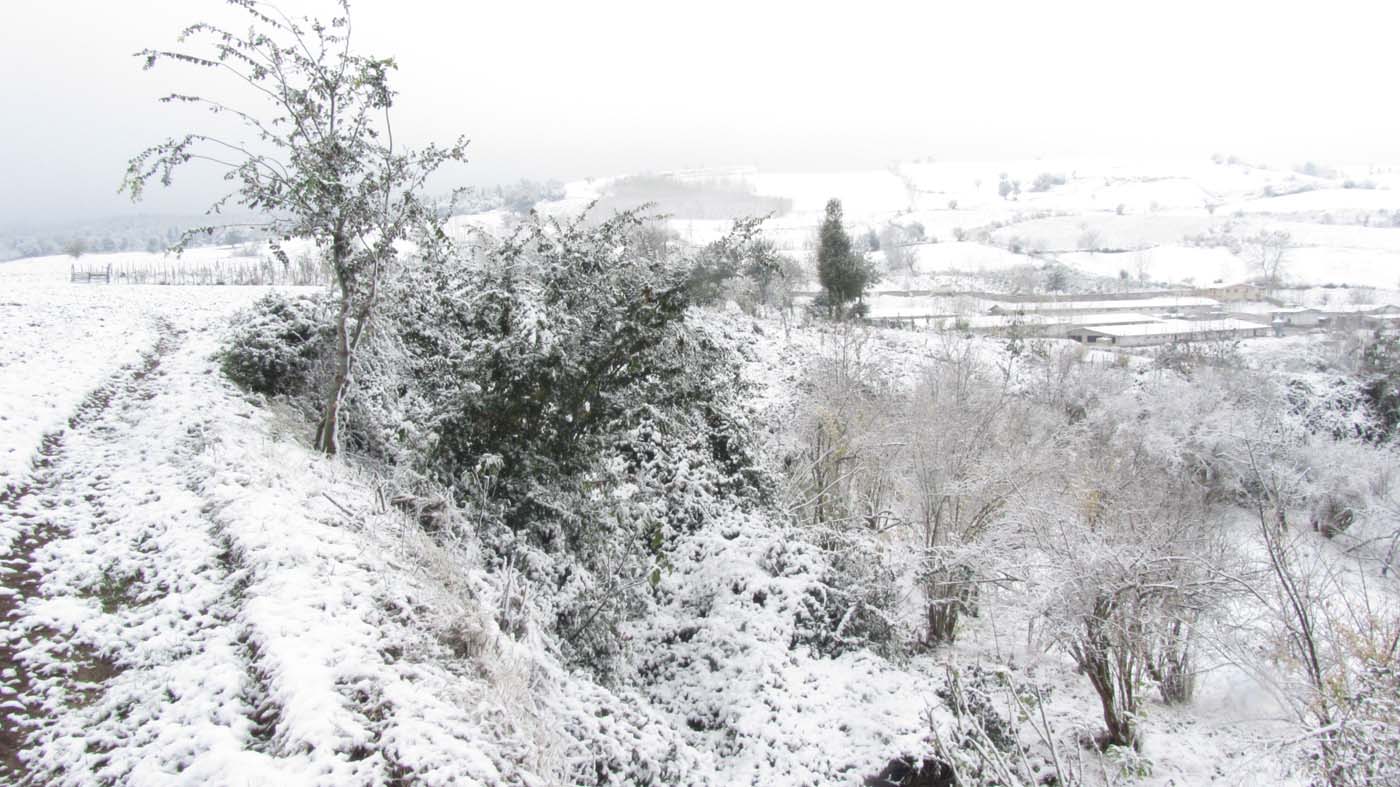 1_152_.jpg (1400×787)