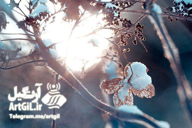 لذت عکاسی در فصل برف وسرما با رعایت ۸ نکته کلیدی