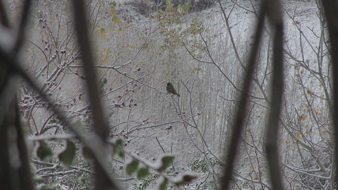 1_157_.jpg (1400×787)