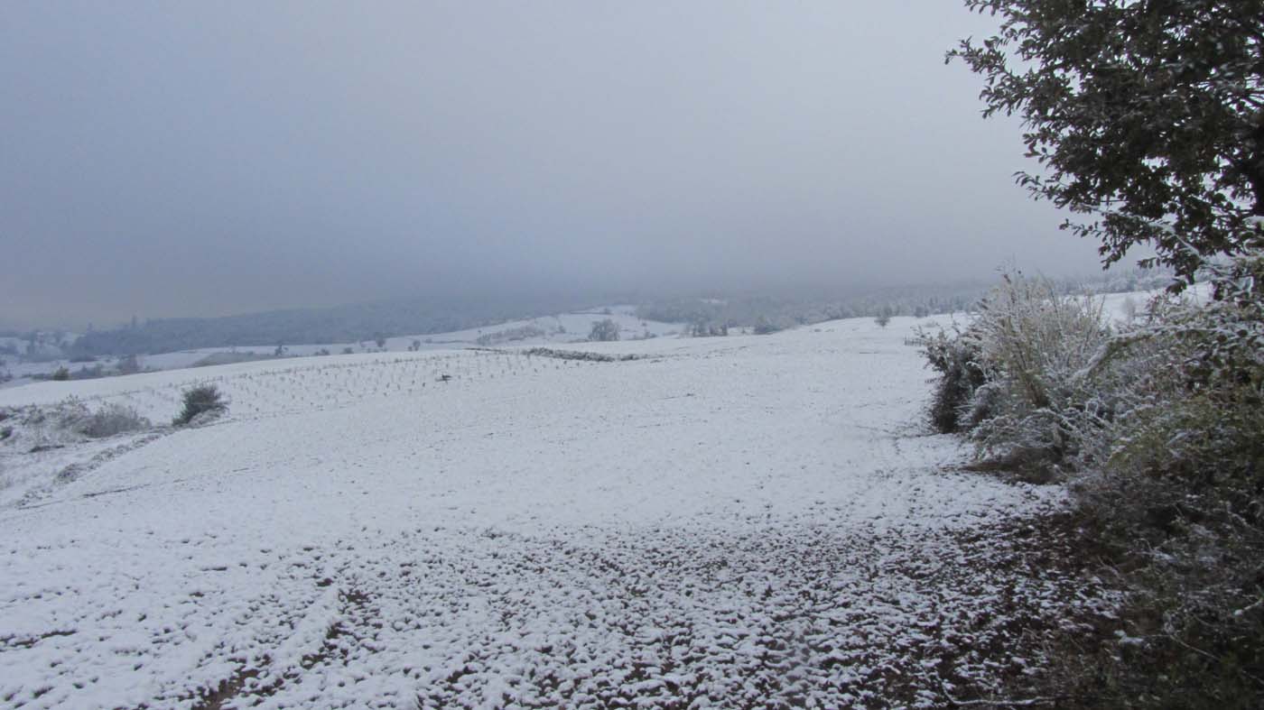 1_160_.jpg (1400×787)