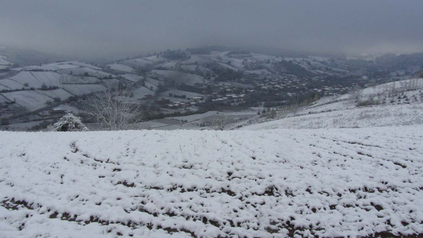 1_163_.jpg (1400×787)