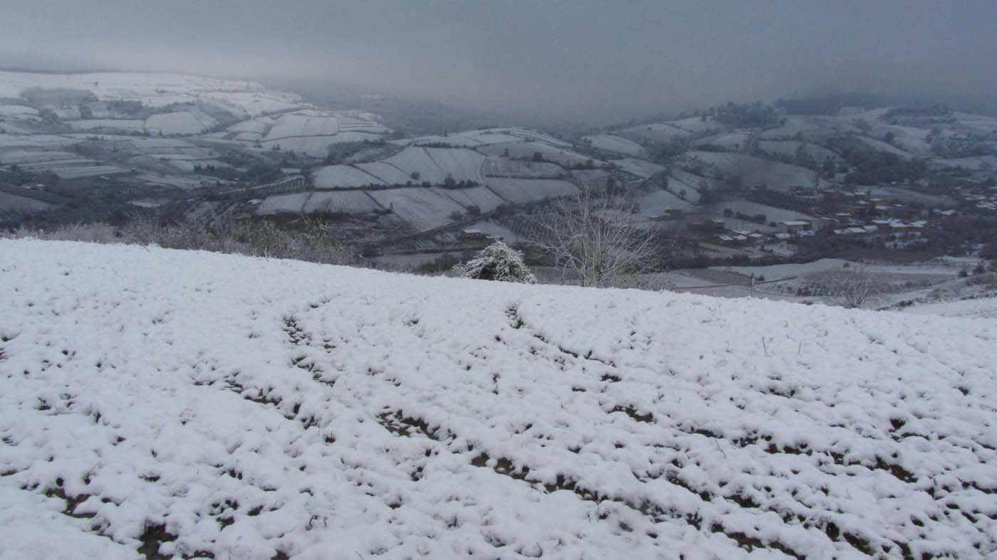 1_164_.jpg (1400×787)