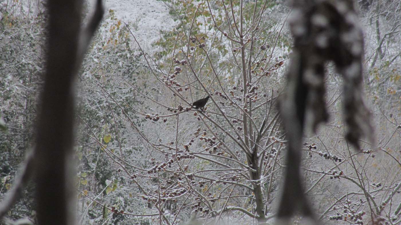 1_167_.jpg (1400×787)