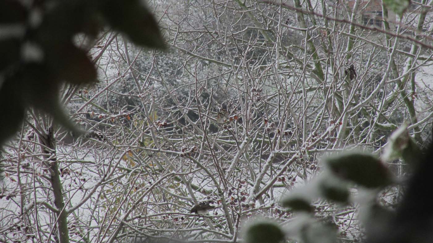 1_171_.jpg (1400×787)