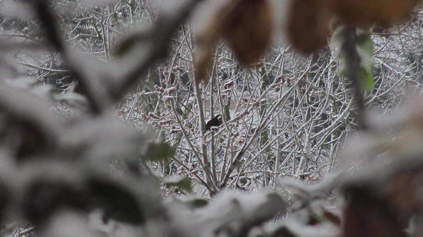 1_172_.jpg (1400×787)