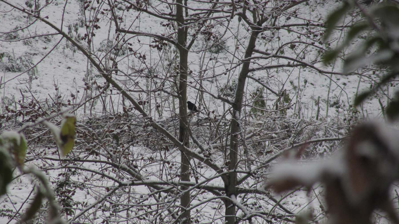 1_175_.jpg (1400×787)