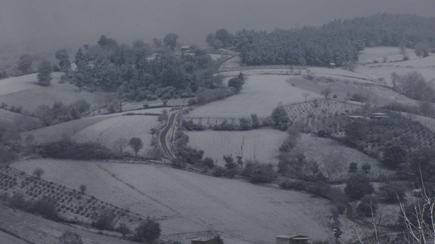 1_178_.jpg (1400×787)