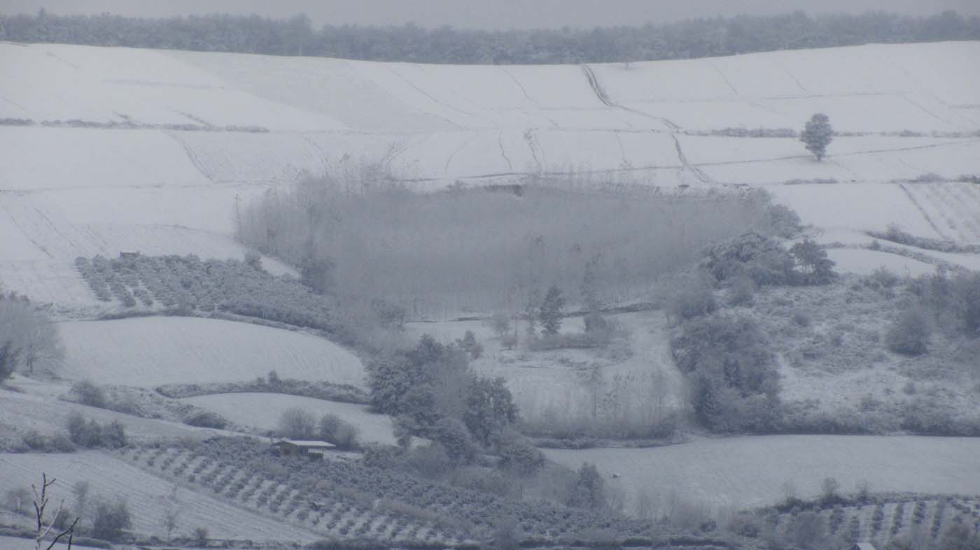 1_180_.jpg (1400×787)