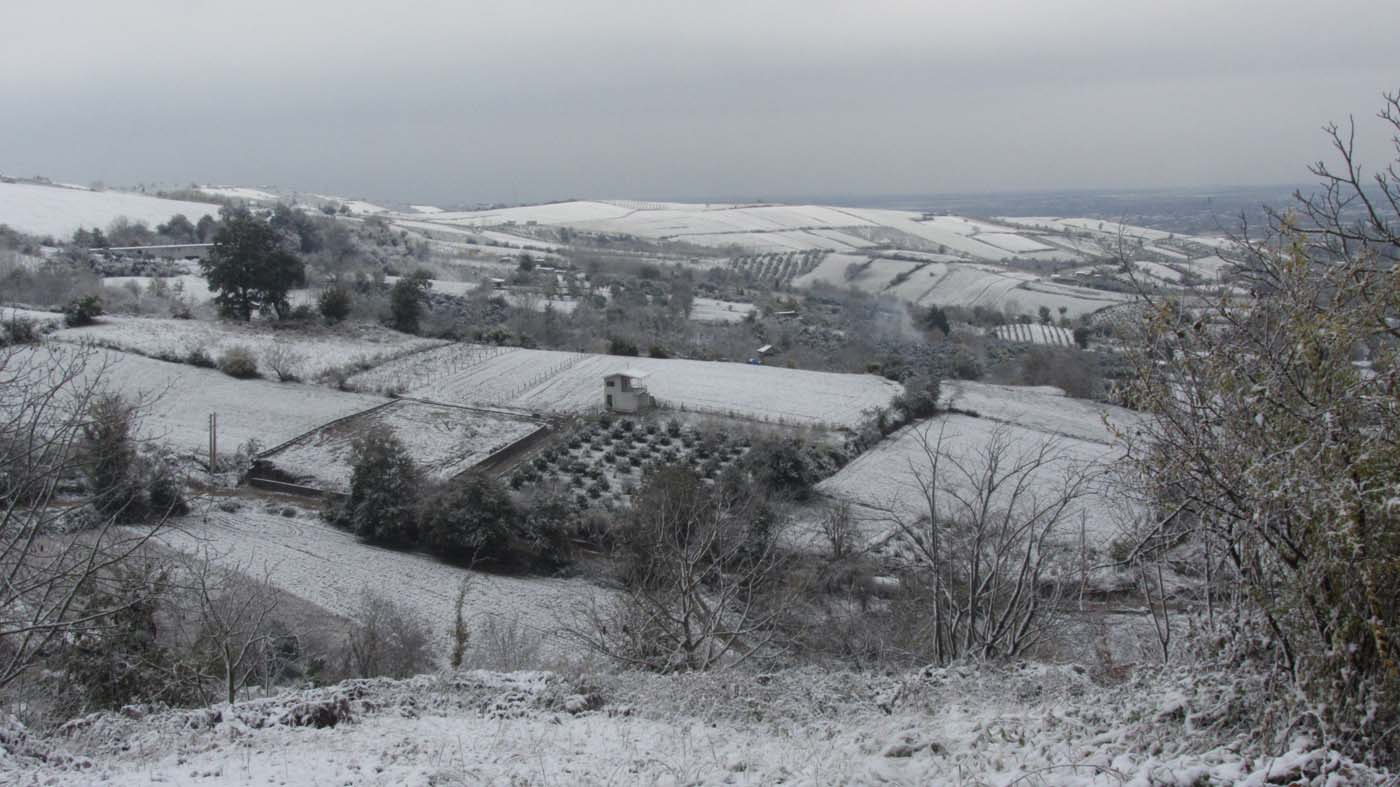 1_181_.jpg (1400×787)