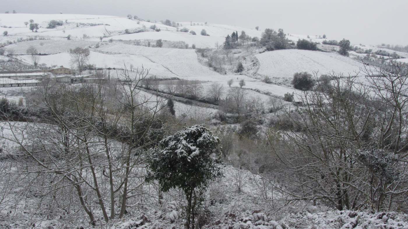 1_183_.jpg (1400×787)